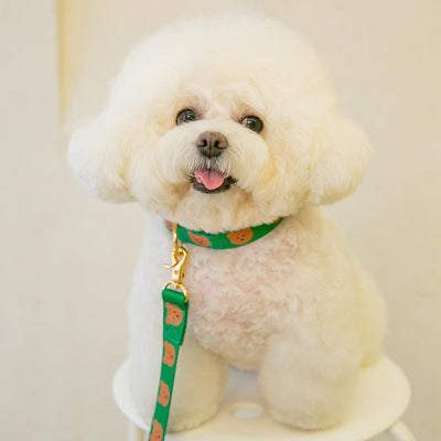 Collar Suave y Resistente para Gatos, Perros y Mascotas - Diseño Adorable - Image 10