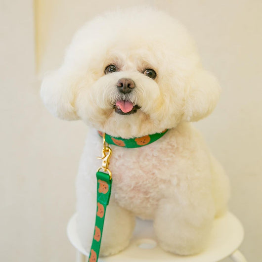 Collar Suave y Resistente para Gatos, Perros y Mascotas - Diseño Adorable - Image 10