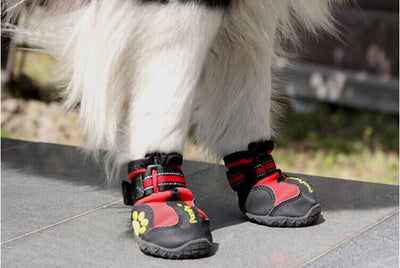 Zapatos Antideslizantes para Perros Grandes - Protección y Comodidad - Image 8