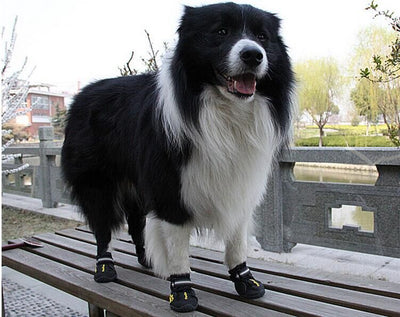 Zapatos Antideslizantes para Perros Grandes - Protección y Comodidad - Image 9