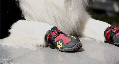 Zapatos Antideslizantes para Perros Grandes - Protección y Comodidad - Image 10