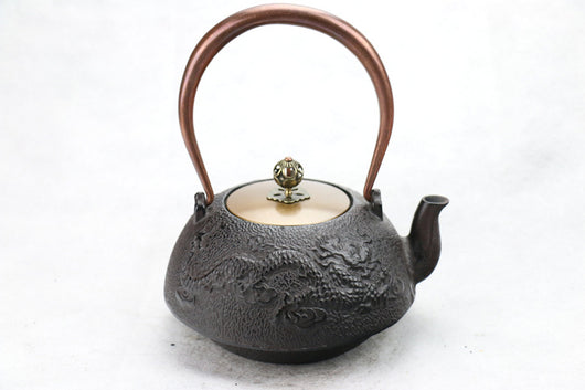 Tetera de Hierro Fundido del Sur de Japón - Image 10