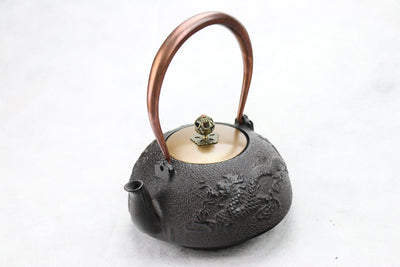 Tetera de Hierro Fundido del Sur de Japón - Image 14