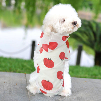 Ropa de Protección Solar Transpirable para Perros - Image 16