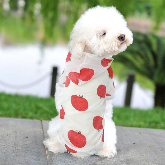 Ropa de Protección Solar Transpirable para Perros - Image 16