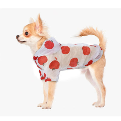 Ropa de Protección Solar Transpirable para Perros - Image 17