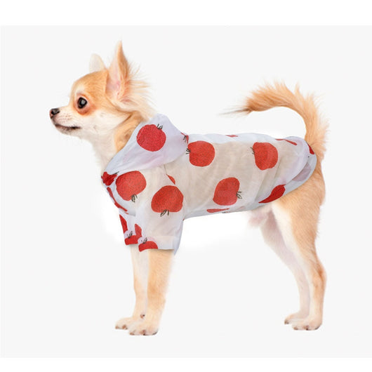 Ropa de Protección Solar Transpirable para Perros - Image 17