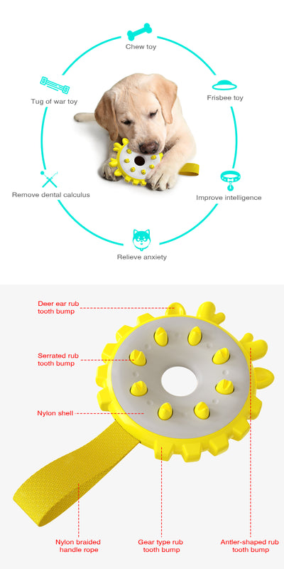 Anillo Mordedor de Entrenamiento con Molares y Cepillo Dental para Perros - Image 8