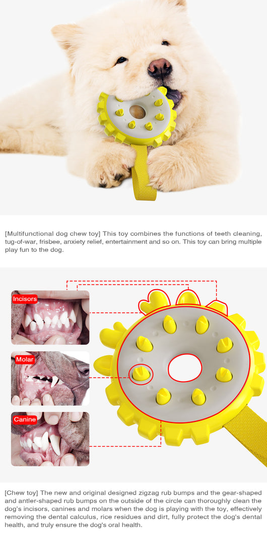Anillo Mordedor de Entrenamiento con Molares y Cepillo Dental para Perros - Image 9