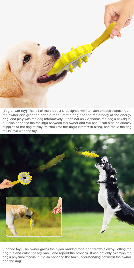 Anillo Mordedor de Entrenamiento con Molares y Cepillo Dental para Perros - Image 10