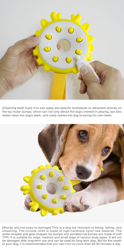 Anillo Mordedor de Entrenamiento con Molares y Cepillo Dental para Perros - Image 11