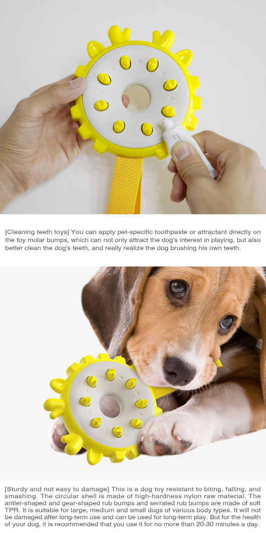 Anillo Mordedor de Entrenamiento con Molares y Cepillo Dental para Perros - Image 11