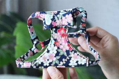 Arnés de Seguridad Estilo Japonés para Gatos con Correa Antiescapes - Image 12