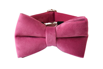 Collar de Cuerda para Perro Terciopelo Rojo Rosa - Image 18