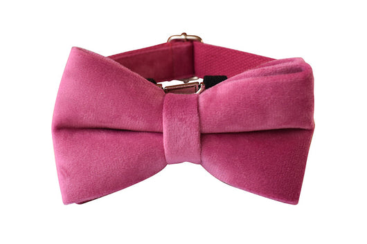 Collar de Cuerda para Perro Terciopelo Rojo Rosa - Image 18