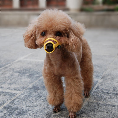 Bozal Suave de Malla Transpirable para Perros - Image 13