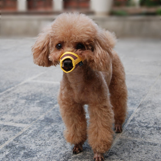 Bozal Suave de Malla Transpirable para Perros - Image 13