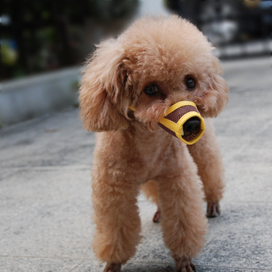 Bozal Suave de Malla Transpirable para Perros - Image 14