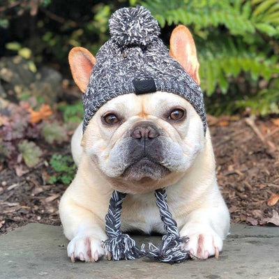 Gorro Tejido Polar para Perros con Pompón - Protección Térmica Resistente al Viento - Image 9
