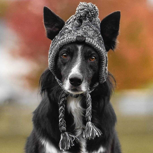 Gorro Tejido Polar para Perros con Pompón - Protección Térmica Resistente al Viento - Image 11