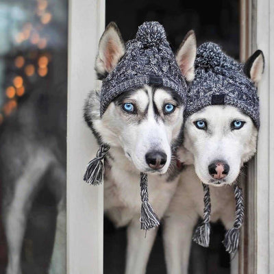 Gorro Tejido Polar para Perros con Pompón - Protección Térmica Resistente al Viento - Image 12