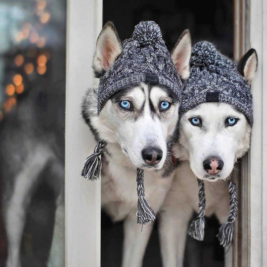 Gorro Tejido Polar para Perros con Pompón - Protección Térmica Resistente al Viento - Image 12