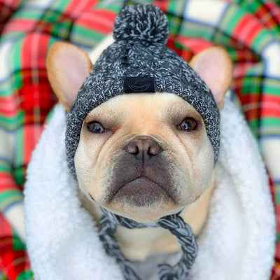 Gorro Tejido Polar para Perros con Pompón - Protección Térmica Resistente al Viento - Image 13