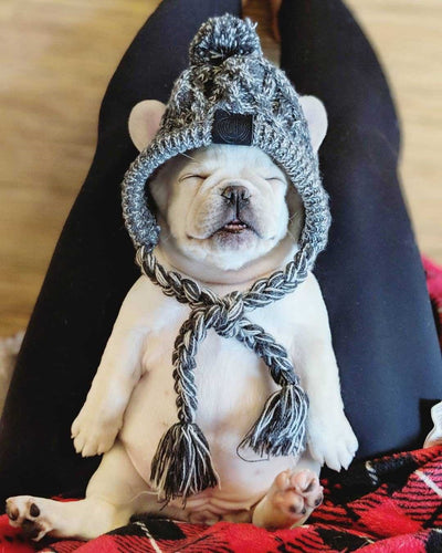 Gorro Tejido Polar para Perros con Pompón - Protección Térmica Resistente al Viento - Image 17