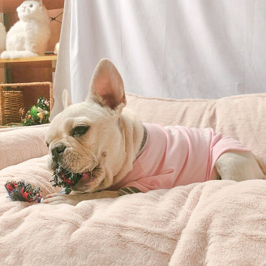 Cama Cálida para Mascotas con Forro Removible y Lavable - Image 10