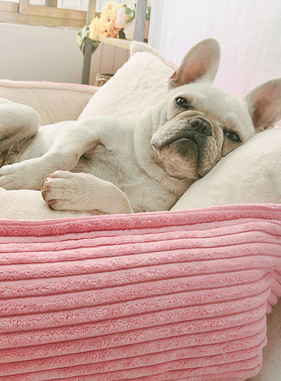 Cama Cálida para Mascotas con Forro Removible y Lavable - Image 11