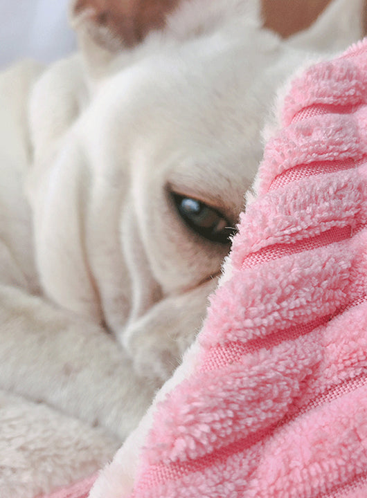 Cama Cálida para Mascotas con Forro Removible y Lavable - Image 12