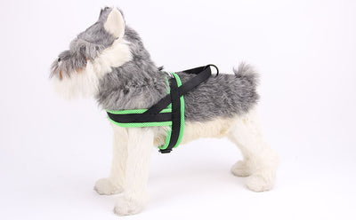 Arnés de Cadena para Pecho y Espalda con Correa para Mascotas - Image 12