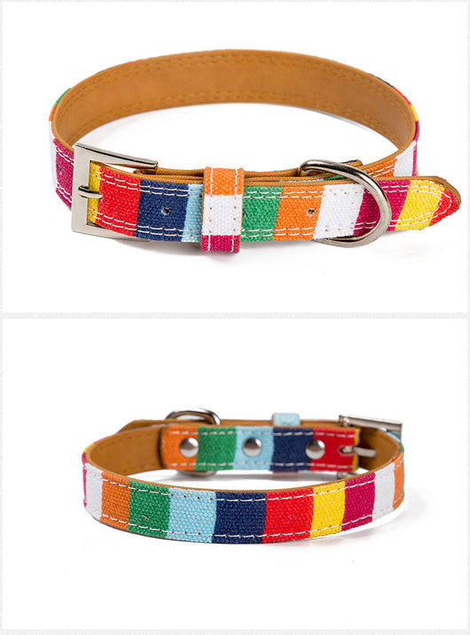 Collar de Cuero para Perro Diseñador - Tallas S, M, L con Arcoíris - Image 4