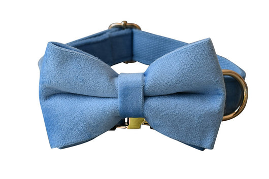 Collar para Perro de Terciopelo Azul con Cuerda - Image 11