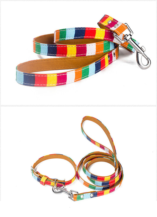 Collar de Cuero para Perro Diseñador - Tallas S, M, L con Arcoíris - Image 5