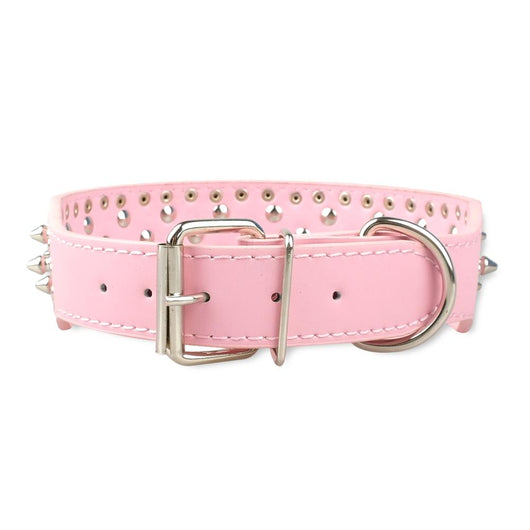 Collar Remachado para Perros Grandes - Image 12