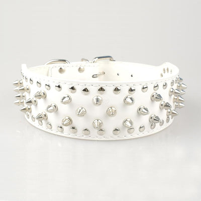 Collar Remachado para Perros Grandes - Image 13