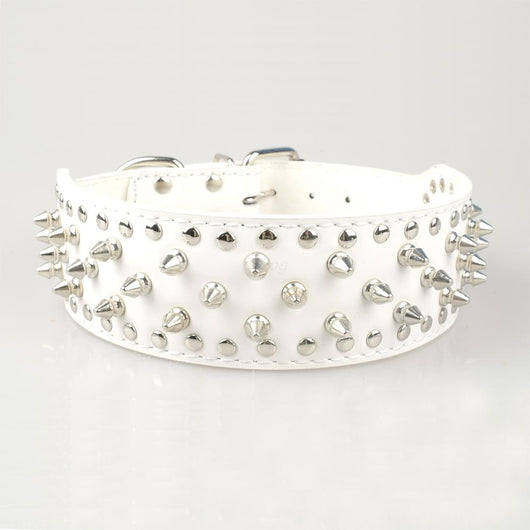 Collar Remachado para Perros Grandes - Image 13