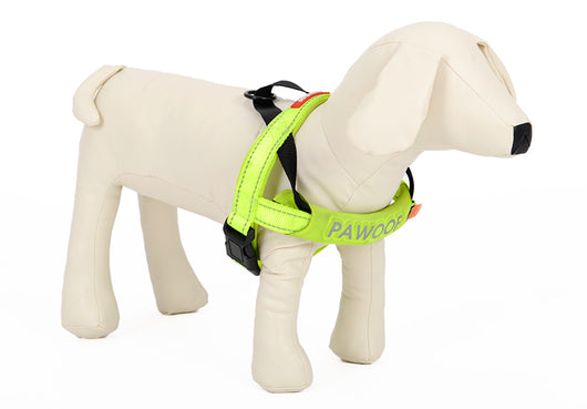 Arnés de Pecho para Perros con Correa Integrada - Image 14