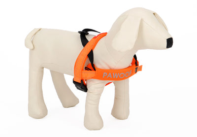 Arnés de Pecho para Perros con Correa Integrada - Image 15