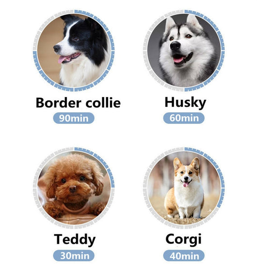 Correa Elástica para Perros Pequeños y Medianos - Image 14