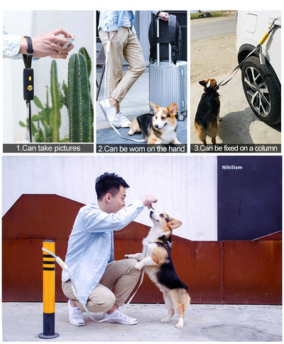 Correa Elástica para Perros Pequeños y Medianos - Image 15