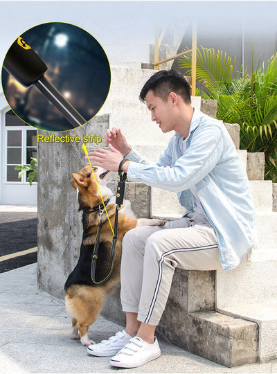 Correa Elástica para Perros Pequeños y Medianos - Image 18