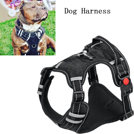 Arnés de Tracción Resistente para Perros Medianos y Grandes - Image 23