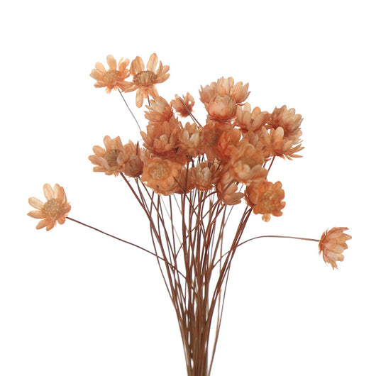 Juego de Flores Artificiales para Decoración de Primavera - Image 13