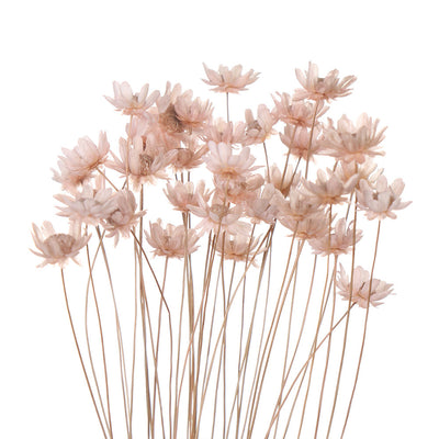 Juego de Flores Artificiales para Decoración de Primavera - Image 14