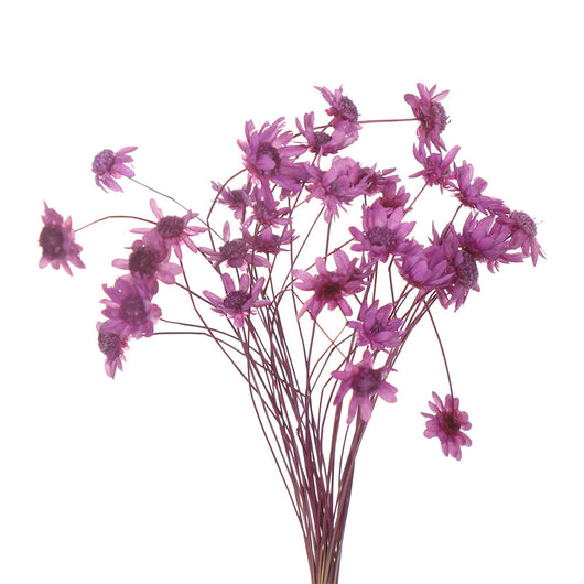 Juego de Flores Artificiales para Decoración de Primavera - Image 16