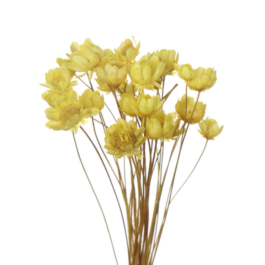 Juego de Flores Artificiales para Decoración de Primavera - Image 17