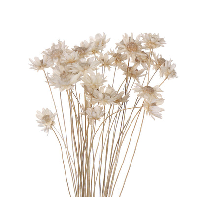 Juego de Flores Artificiales para Decoración de Primavera - Image 18