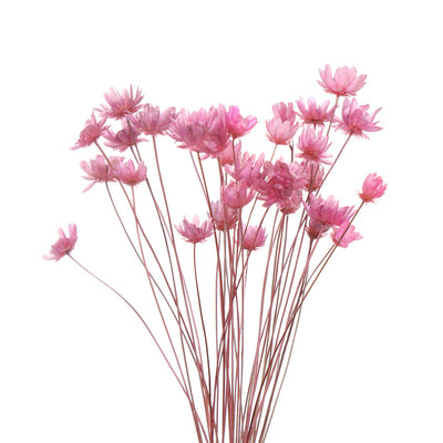 Juego de Flores Artificiales para Decoración de Primavera - Image 19